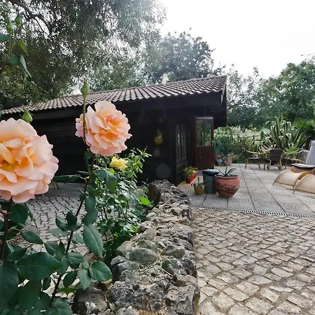 Private Wooden House