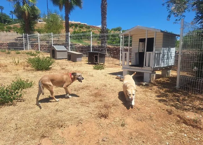 Private Wooden House Chalet *