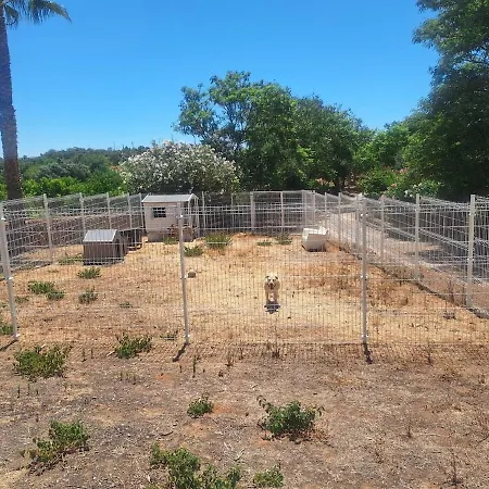 Private Wooden House Alpstuga Algoz