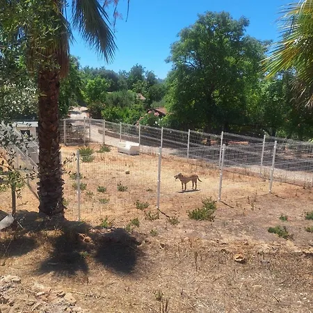 Chalet Private Wooden House Algoz