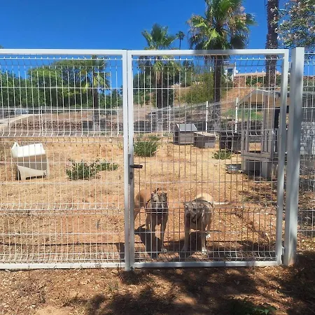 Private Wooden House