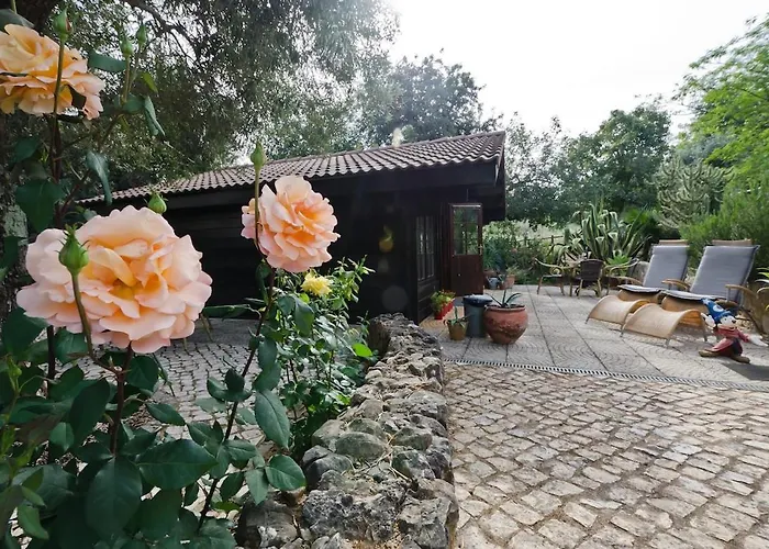 Private Wooden House