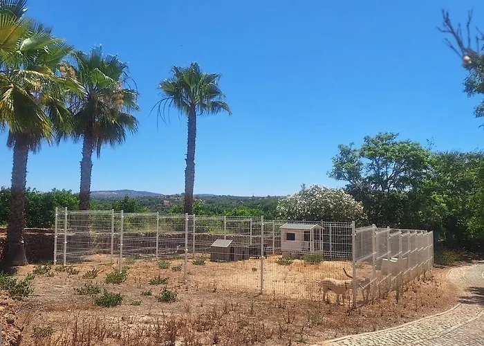 Chalet Private Wooden House