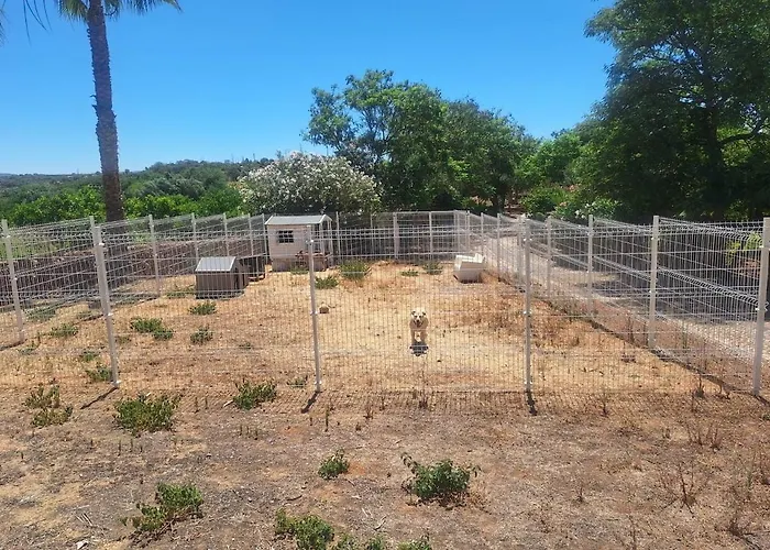 Private Wooden House Alpstuga Algoz