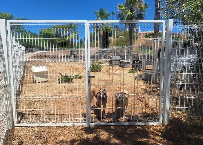 Private Wooden House